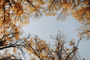 Imagen del artículo: Viajar con los 5 sentidos y cómo conectar con lo esencial en el Barrio del Oeste